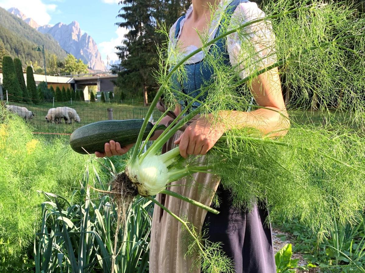 Germania Dobbiaco